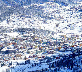 Lotus Hydrogen Plasma Combi Boiler for Heating & Warm Water in Student Campus S 700