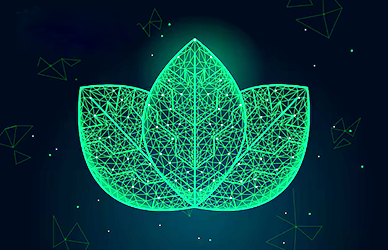 Chaudière combinée Lotus à plasma d'hydrogène pour chauffage et eau chaude