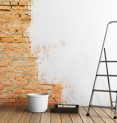 Lotus Thermal Plaster and Paint Application